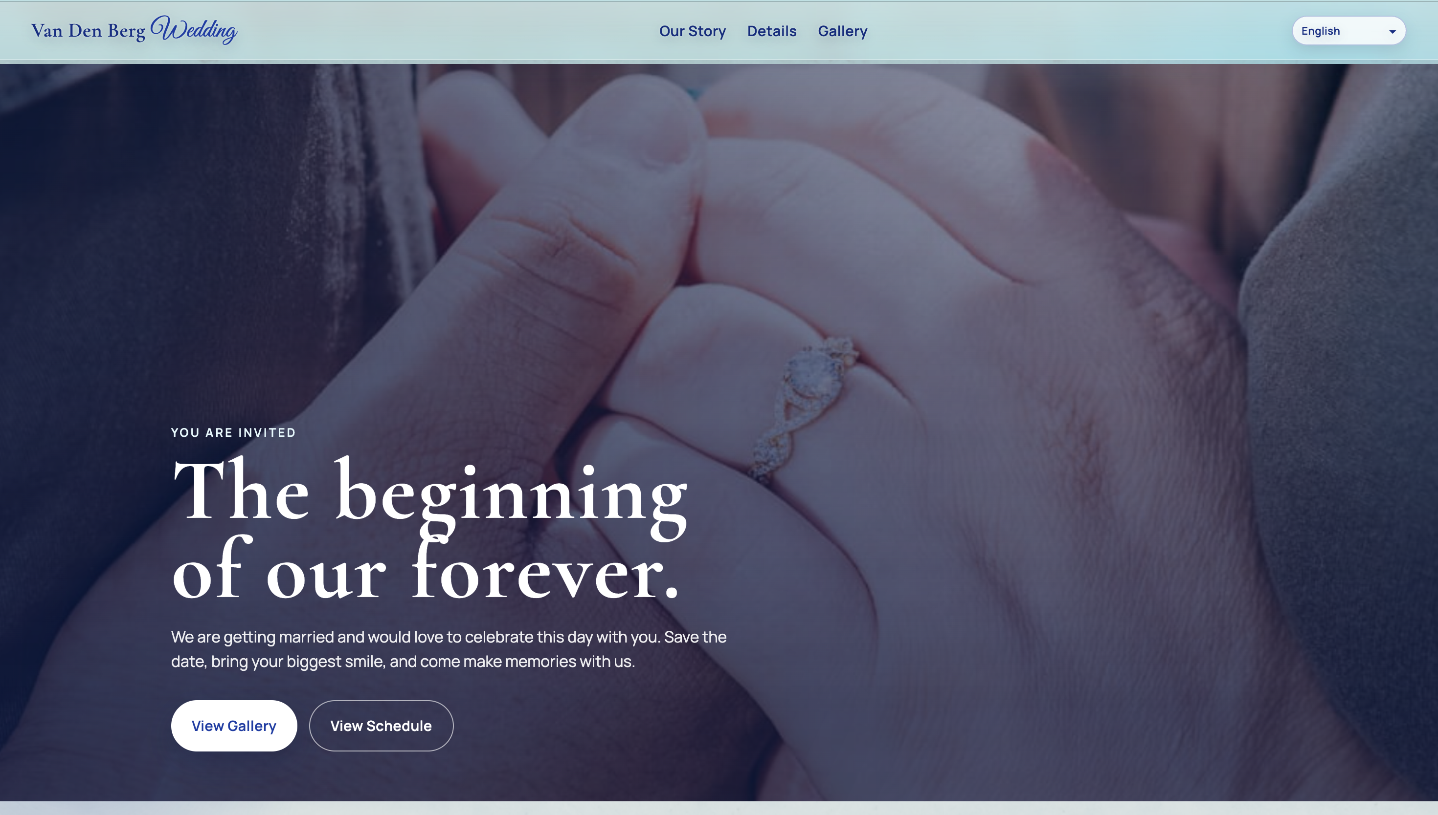 Van Den Berg Wedding website homepage screenshot